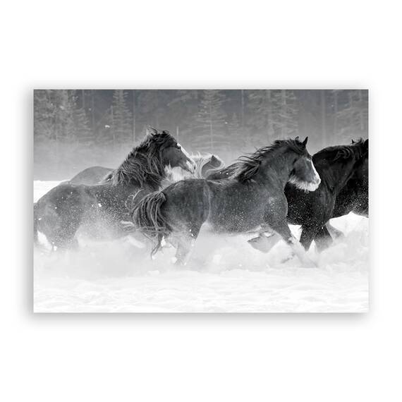 Tablou Canvas - Cai, Iarna, Ninsoare, Animal, Marime: 80 x 120 cm - - Roveli