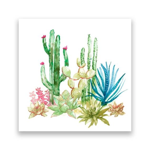Tablou Canvas -  Cactus I, Aloe, Verde, Plante, Pictura, Marime: 60 x 60 cm - - Roveli