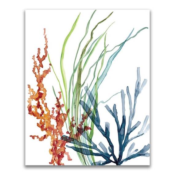 Tablou Canvas - Coral, Ocean, Apa, Marime: 60 x 75 cm - - Roveli
