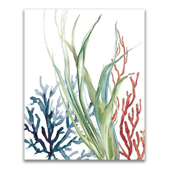 Tablou Canvas - Coral, Ocean, Apa, Marime: 60 x 75 cm - - Roveli
