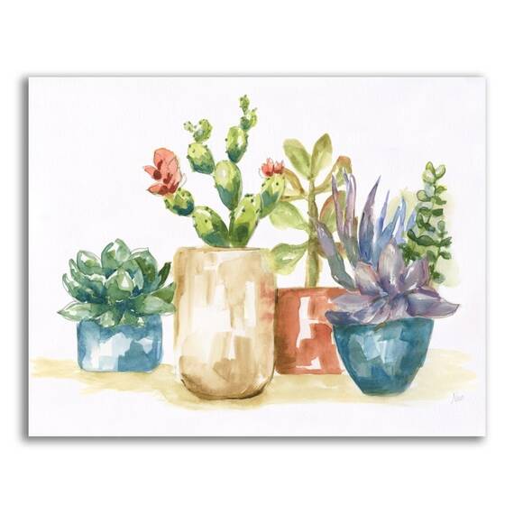 Tablou Canvas - Plante, Cactus, Vaze, Color, Marime: 60 x 75 cm - - Roveli