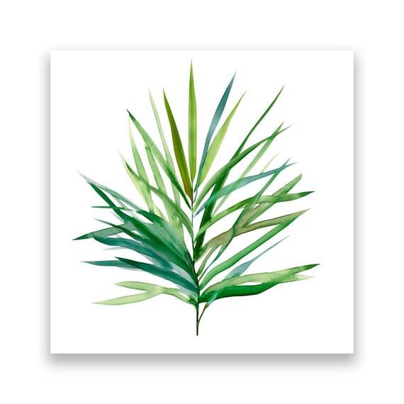 Tablou Canvas - Botanica I, Frunza, Verde, Marime: 60 x 60 cm - - Roveli