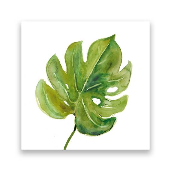 Tablou Canvas - Botanica IV, Frunza, Verde - - Roveli