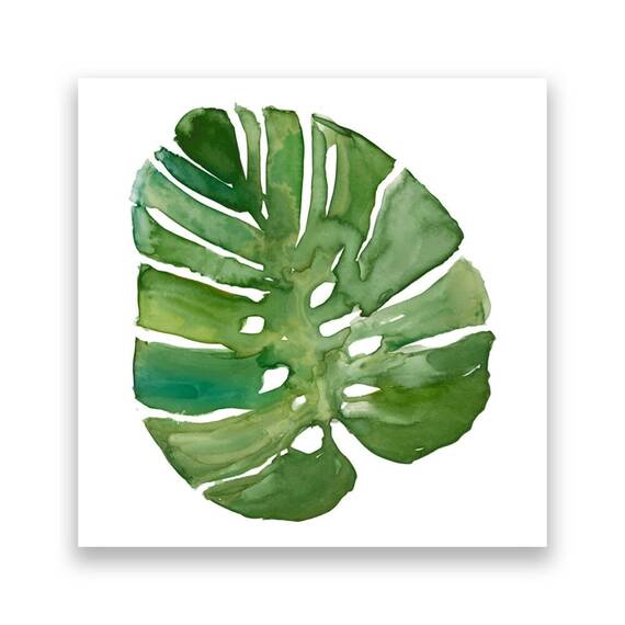 Tablou Canvas - Botanica VI, Frunza, Verde, Marime: 60 x 60 cm - - Roveli