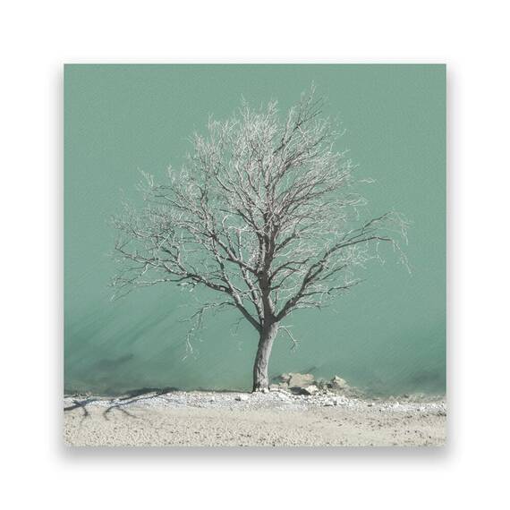 Tablou Canvas - Natura, Peisaj, Copac, Lac, Iarna, Marime: 60 x 60 cm - - Roveli