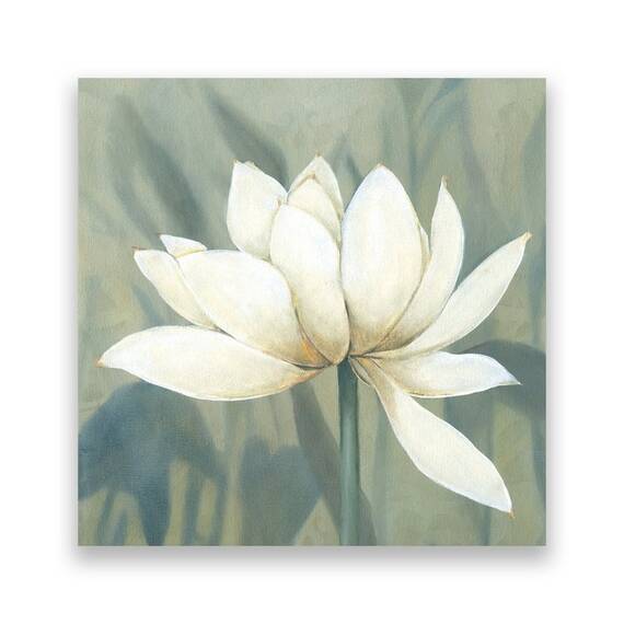 Tablou Canvas - Floral, Flori, Magnolia, Alb, Pictura - - Roveli