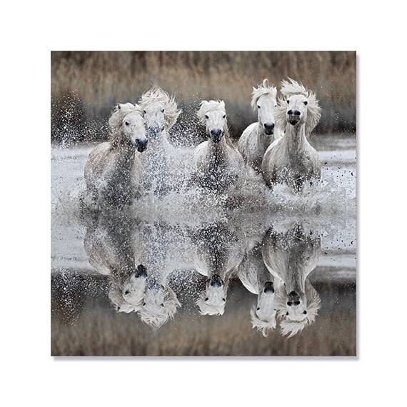 Tablou Canvas - Cai, Apa, Rau, Animale - - Roveli