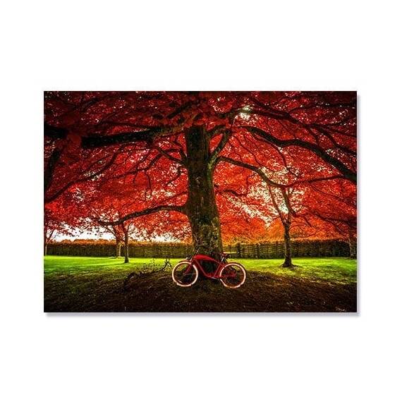 Tablou Canvas - Toamna, Bicicleta Rosie, Copac, Frunze, Marime: 60 x 80 cm - - Roveli