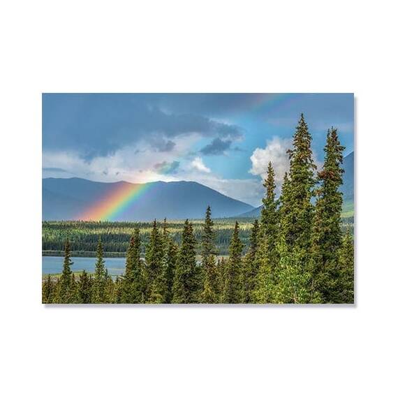 Tablou Canvas - Curcubeu peste Yukon, Brad, Padure, Munte, Marime: 80 x 120 cm - - Roveli