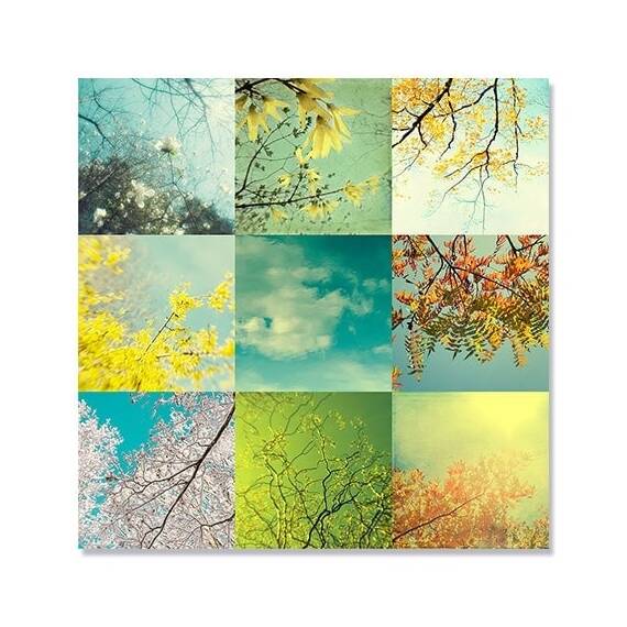 Tablou Canvas - Mosaic pe Cer, Crengi, Primavara, Toamna, Marime: 70 x 70 cm - - Roveli