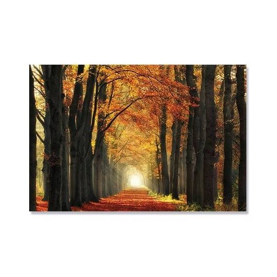 Tablou Canvas -  Alee si Frunze Rosii, Toamna, Copaci, Marime: 80 x 120 cm - - Roveli