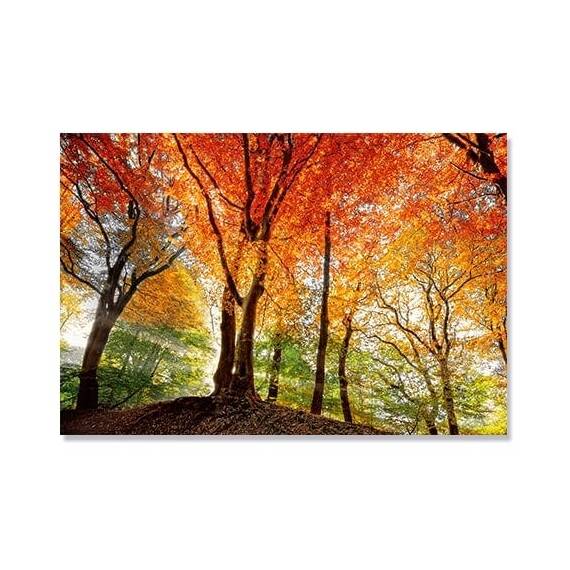 Tablou Canvas -  Prisma Luminii I, Copaci, Toamna, Marime: 80 x 120 cm - - Roveli