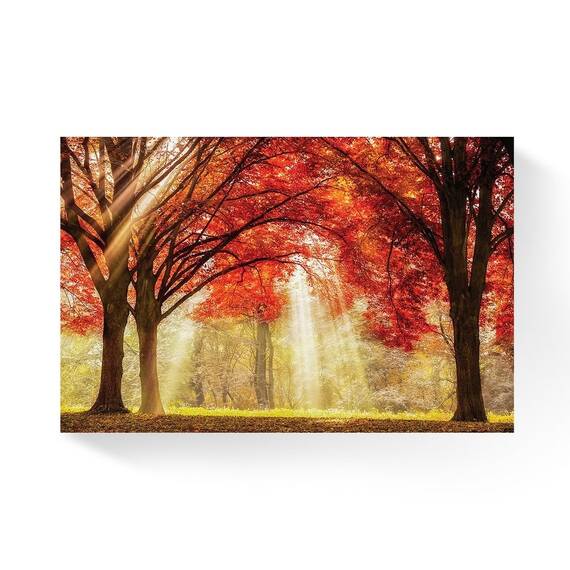 Tablou Canvas -  Prisma Luminii II, Copaci, Toamna, Marime: 60 x 90 cm - - Roveli