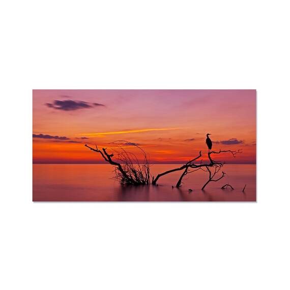 Tablou canvas - Crengi, Apus de Soare, Lac, Marime: 50 x 100 cm - - Roveli