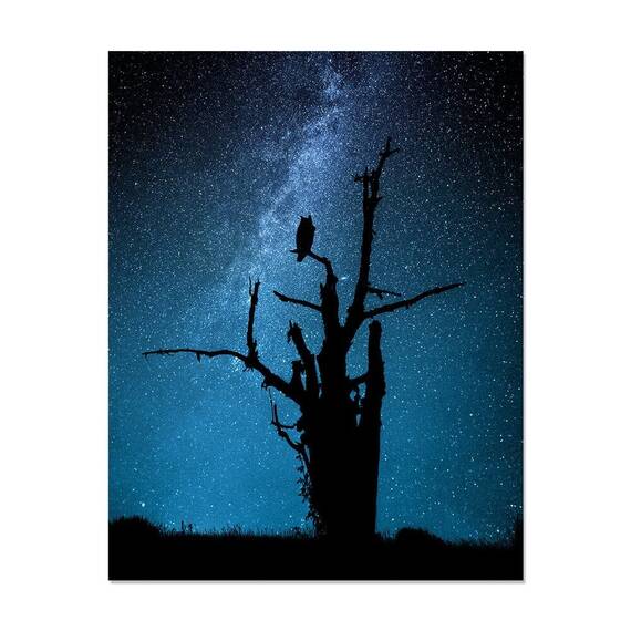 Tablou Canvas - Copac, Cer Innorat, Seara, Lumina de Noapte, Marime: 80 x 100 cm - - Roveli