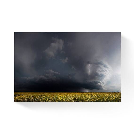 Tablou Canvas - Peisaj, Natura, Flori, Nori, Marime: 80 x 120 cm - - Roveli