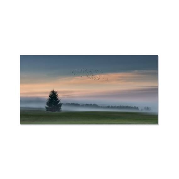 Tablou Canvas - Peisaj, Ceata, Brad, Rasarit, Pasari, Natura, Dimineata, Marime: 50 x 100 cm - - Roveli