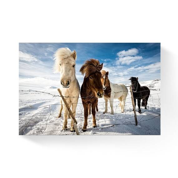 Tablou Canvas -  Ponei, Zapada, Cer, Albastru, Marime: 80 x 120 cm - - Roveli