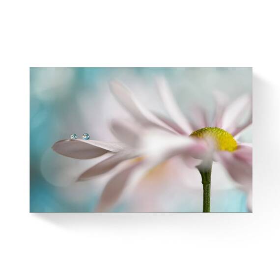 Tablou Canvas - Floare II, Petale, Alb,, Marime: 80 x 120 cm - - Roveli