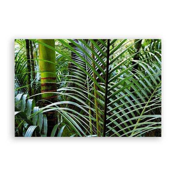 Tablou Canvas - Natura, Verde, Frunza, Marime: 80 x 120 cm - - Roveli