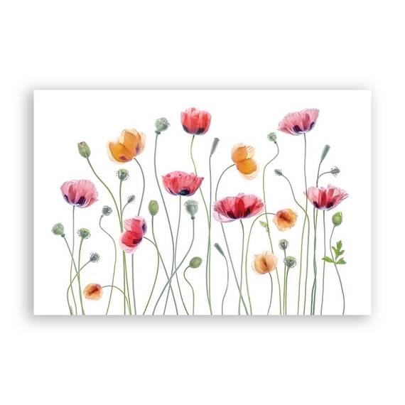 Tablou Canvas - Floral, Flori de maci, Pictura - - Roveli
