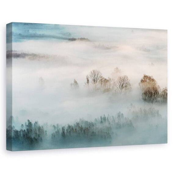 Tablou canvas - Ceata hibernala, Peisaj, Iarna, Rasarit De Soare, Marime: 80 x 120 cm - - Roveli