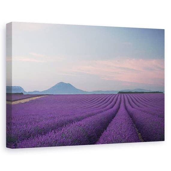 Tablou canvas - Camp de lavanda, Peisaj, Flori, Franta, Marime: 80 x 120 cm - - Roveli