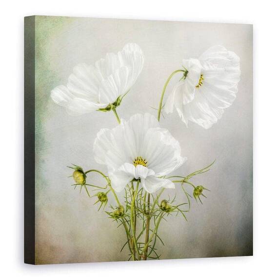 Tablou Canvas - Farmecul Cosmosului, Trio, Alb, Vintage, Marime: 90 x 90 cm - - Roveli