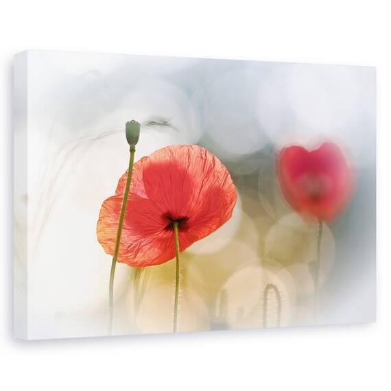 Tablou canvas - Dimineata cu maci, Flori, Rosu, Romantic, Marime: 80 x 120 cm - - Roveli