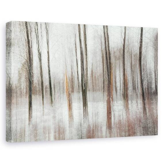 Tablou canvas - Flori, Iarna, Zapada, Marime: 80 x 120 cm - - Roveli