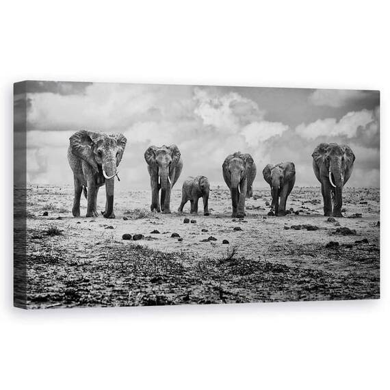 Tablou Canvas - Familie Mare, Elefanti, Familie, Alb-Negru, Copil, Cub, Dragut - - Roveli