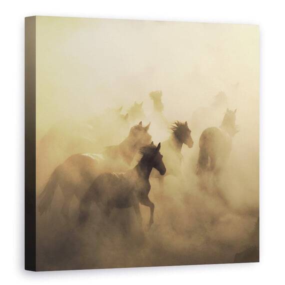 Tablou Canvas - Migrarea Cailor, Cappadocia, Praf, Marime: 90 x 90 cm - - Roveli