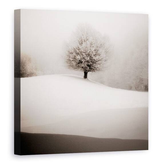 Tablou Canvas - Degrade De Iarna, Copac, Alb-Negru, Peisaj, Natura - - Roveli
