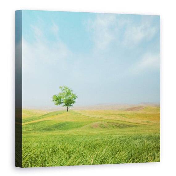 Tablou Canvas - Totul E Bine, Copac, Peisaj, Vara, Singur - - Roveli