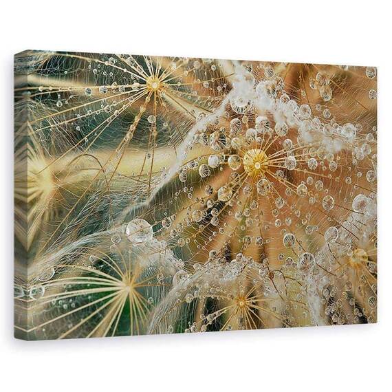 Tablou canvas - Fara stele, Flori, Picaturi, Roua, Pene, Marime: 80 x 120 cm - - Roveli