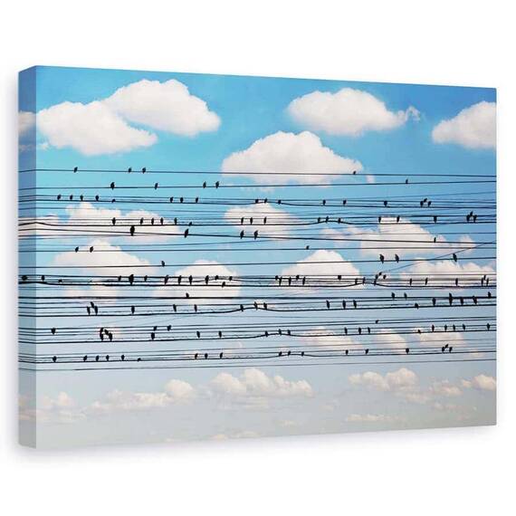 Tablou canvas - Cantus Arcticus, Concertul pentru pasari, Peisaj, Pasari, Nori, Cer, Marime: 80 x 120 cm - - Roveli