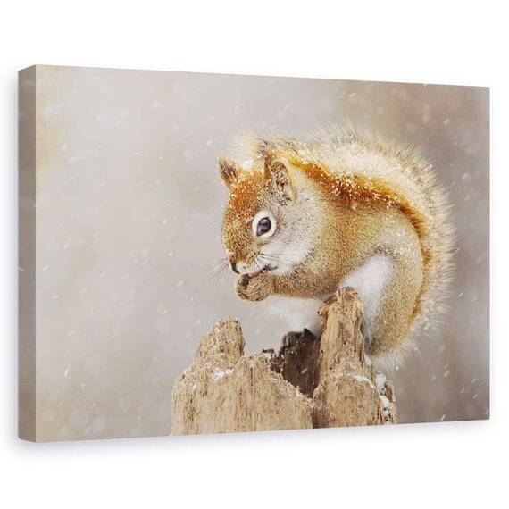 Tablou canvas - Furtuna de zapada, Natura, Iarna, Veverita, Ninsoare, Marime: 80 x 120 cm - - Roveli
