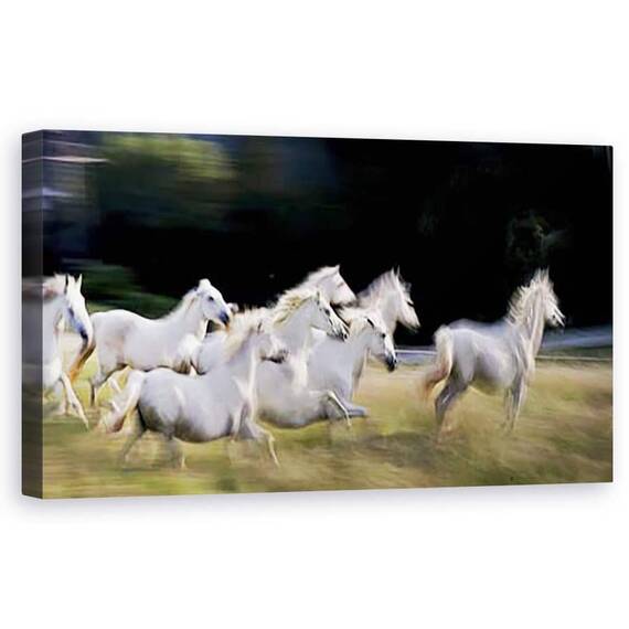 Tablou Canvas - Zece, Panorama, Galop, Cal, Reflectie, Turma, Blur, Marime: 50 x 100 cm - - Roveli