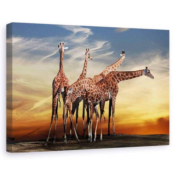 Tablou canvas - Flori, Apus De Soare, Nori, Safari, Marime: 60 x 90 cm - - Roveli