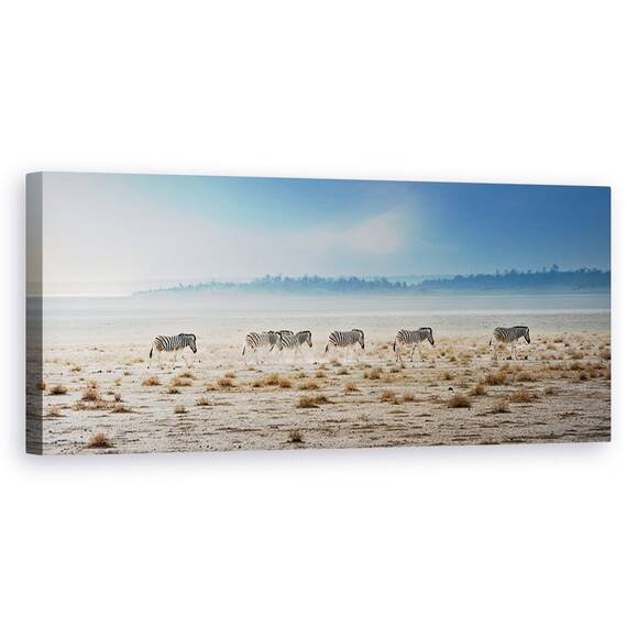 Tablou Canvas - Promenada, Natura, Animale, Salbatice,  Zebra, Ceata, Marime: 30 x 90 cm - - Roveli
