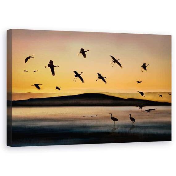 Tablou Canvas - Lac, Apus De Soare, Zbor, Mexico, Sua, Pasare, Marime: 50 x 80 cm - - Roveli