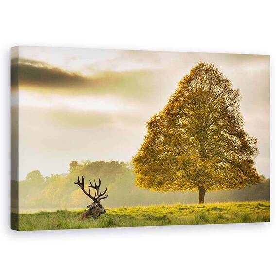 Tablou Canvas - Cerb, Animal, Camp, Peisaj, Copac, Natura, Marime: 50 x 80 cm - - Roveli