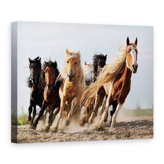 Tablou Canvas - Sasele Norocos, Cal, Actiune, Animale, Putere, Viteza, Marime: 75 x 100 cm - - Roveli