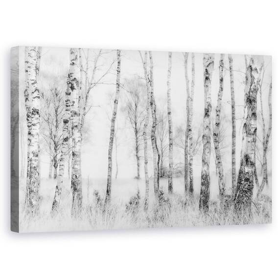 Tablou Canvas - Alb-Negru, Copac, Lumina, Ceata, Alb-Negru, Marime: 50 x 80 cm - - Roveli