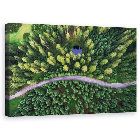 Tablou Canvas - Lac Ascuns, Drona, Rutier, Padure, Lac, Drum, Marime: 50 x 80 cm - - Roveli