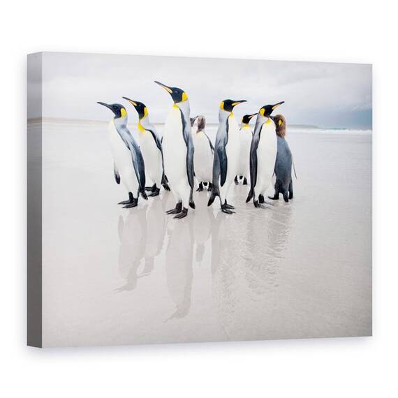 Tablou Canvas - Garda De Corp, Natura, Animal, Pinguin, Salbatic, Plaja, Marime: 75 x 100 cm - - Roveli