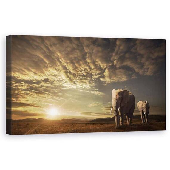 Tablou Canvas - Mersul Pe Jos in Savannah, Elafanti, Africa, Safari, Apus De Soare, Savana, Natura, Marime: 50 x 100 cm - - Roveli