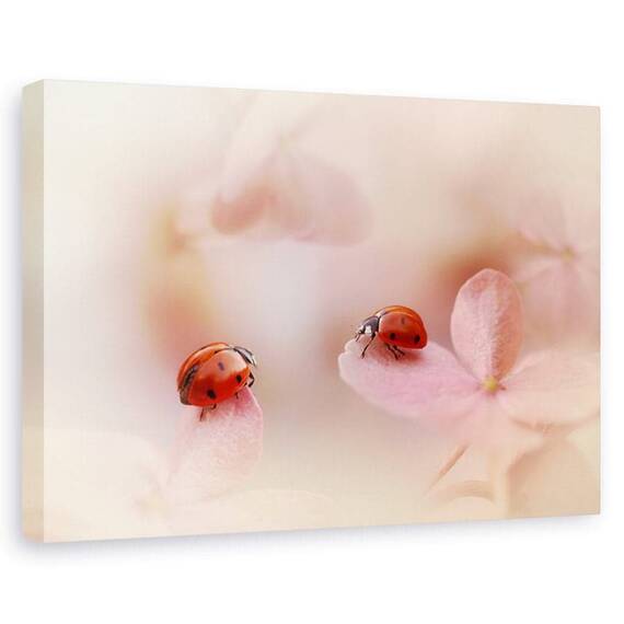 Tablou canvas - Buburuza pe hortensie roz, Flori, Romantic, Cuplu, Rosu - - Roveli