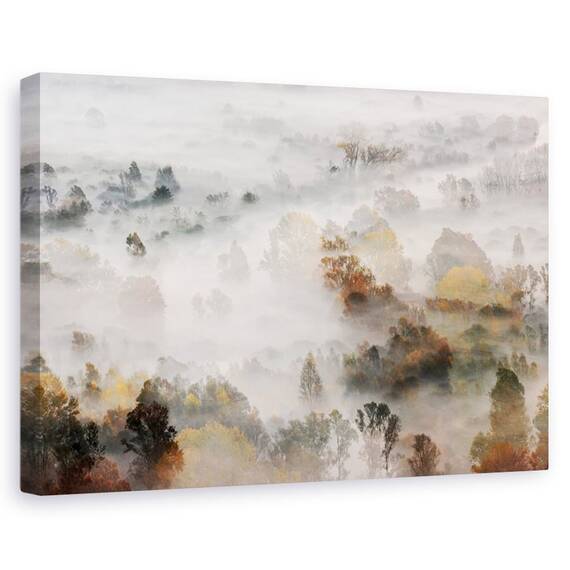 Tablou canvas - Toamna, Peisaj, Atmosfera, Padure, Ceata, Marime: 80 x 120 cm - - Roveli