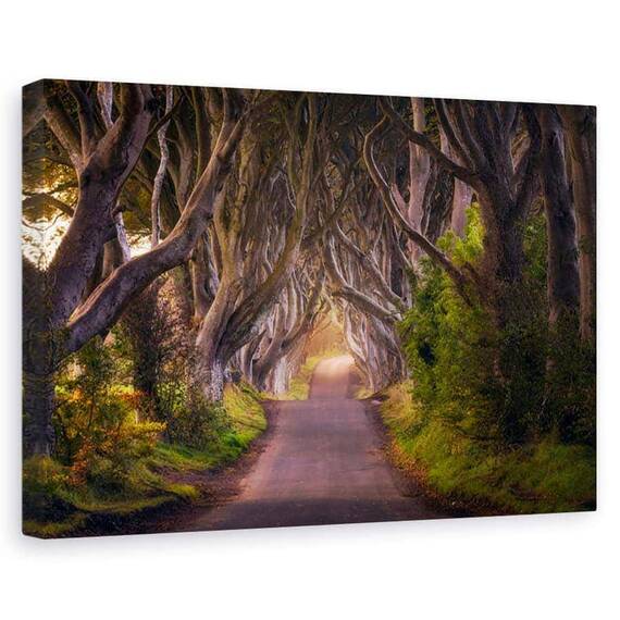 Tablou canvas - Gardurile vii stralucitoare, Peisaj, Copaci, Ramura, Perspectiva, Marime: 80 x 120 cm - - Roveli
